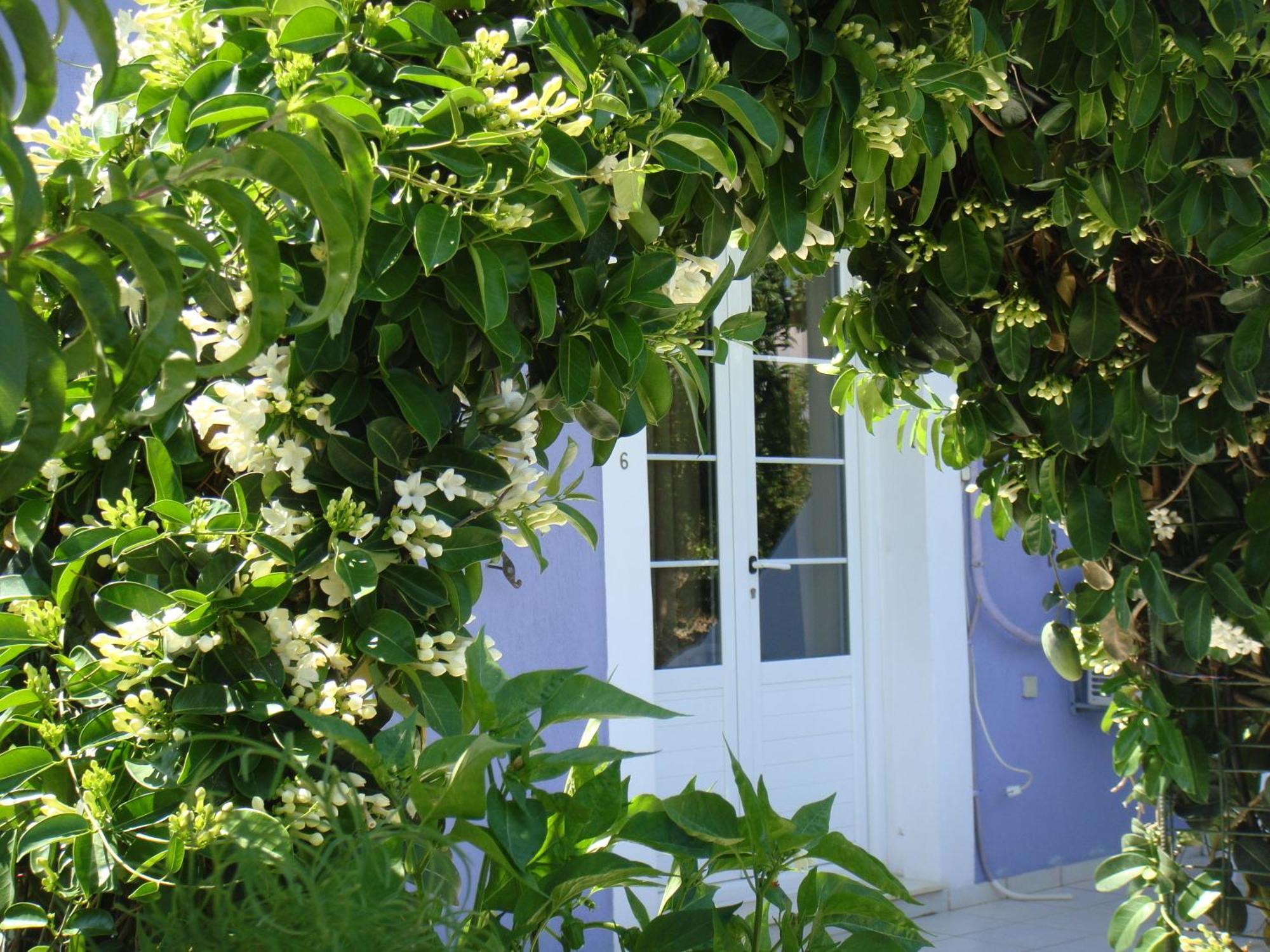 Villa Eliza Skala  Exterior foto