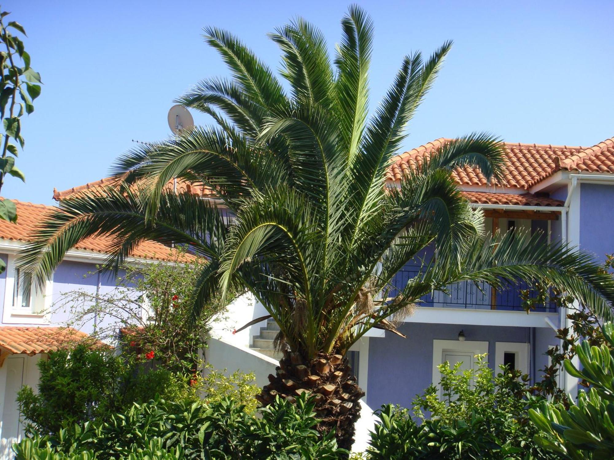 Villa Eliza Skala  Exterior foto